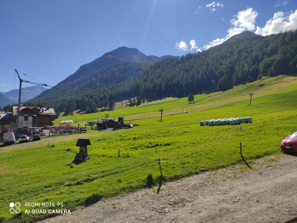 Fior D'Alpe Apartment Livigno Eksteriør billede